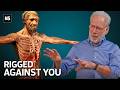 Your Body Was Built For a World That's Gone | Daniel Lieberman Episode cover