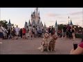 Service Dogs Take on Disney! 🐾 (3/26/17)