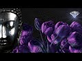 Buddha Zen Bar the Best of Buddha Zen Bar 2018 #Set 2 HD