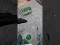 15 июня 2023 г.