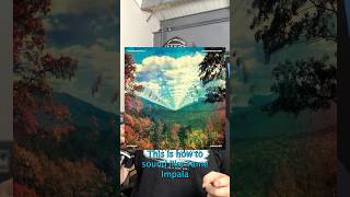 How to sound like @TameImpala  using Stratus 🎸
