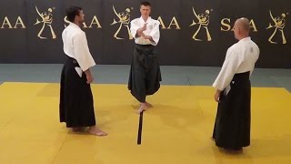 Aikido Kamae Instructional