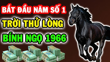 BÍ MẬT ĐỘNG TRỜI: Bính Ngọ 1966 Chuẩn Bị Đón CƠN BÃO LỚN Trong Năm Số 01 Sau Đại Vận 2025