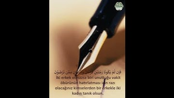 سورة البقرة آية 282  Baqara 282  #المصحف #اكسبلور #القارئ