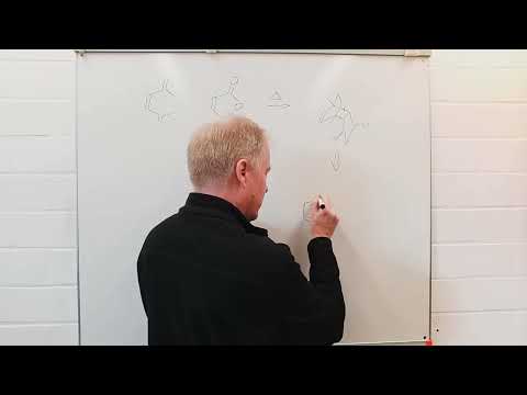 2x Frontier Orbital Control - Insights into Advanced Organic Chemistry 53