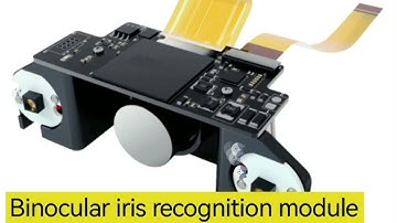 SFT Dynamic binocular iris recognition time attendance machine demo