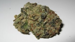 UBC CHEMO STRAIN REVIEW