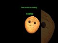 Time Cookie Is Working