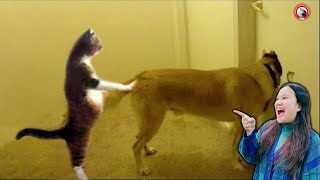 TRY NOT TO LAUGH! Funny DOGS And CATS😹🐶 Funniest Animals Compilation 2024 Part #98