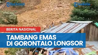 Tambang Emas Di Gorontalo Longsor Puluhan Orang Masih Dalam Pencarian