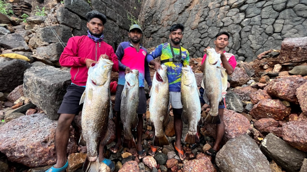 अरे रे रे रे !! 😱केवढे मोठे जिताडे ऐकाच टाईमीगला लागले 5