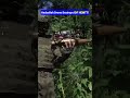 Hezbollah FPV Drone Destroys IDF HEMTT Truck