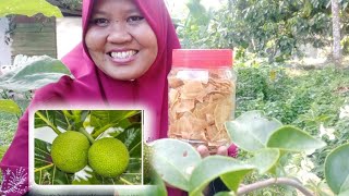 cara buat kerepek sukun rangup by kak nur @tip rangup cukup rasa