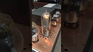 Audio Note Ankoru 845 mono block