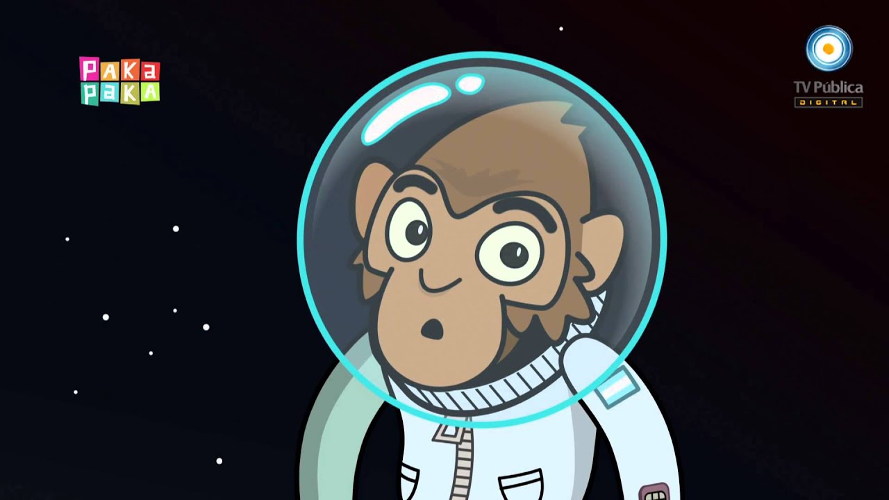 Zamba - El niño que lo sabe todo y el Mono astronauta 