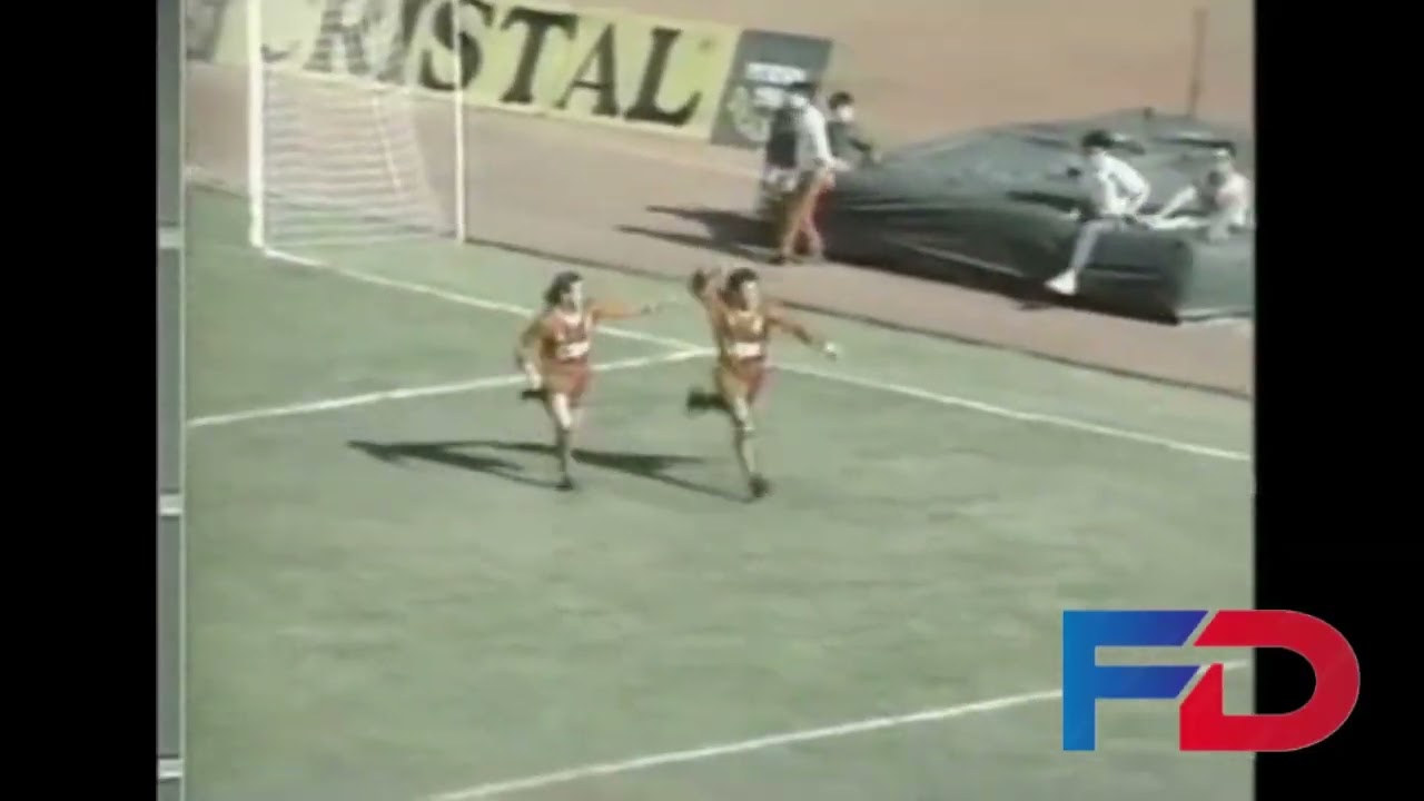 Goles Fecha 18 Campeonato Nacional 1991