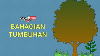 Sains Tahun 1: Bahagian Tumbuhan #cikgooTube #CikguZoul