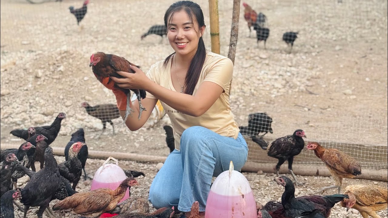 อาชีพที่ทำอยู่ทุกวัน ในช่วงที่ไม่ได้ลงคลิปให้ชม😁✌️ #น้องหอมท่าเดื่อ 