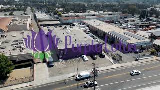 Sports Performance Purple Lotus Cannabis Dispensary Tour 2023
