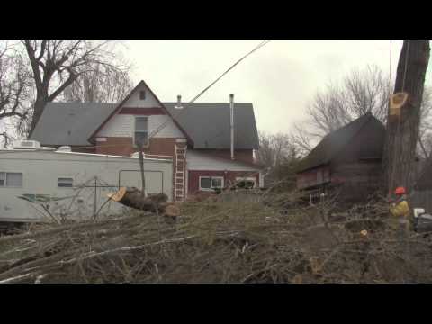 Pulling and Wedging a Hard Leaning Cottonwood