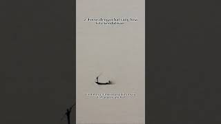 Download Lagu 5 tanda kamu menganut stoicsm #stoikisme #stoicism #aristoteles #filsuf #filsafat #1% #habbit MP3