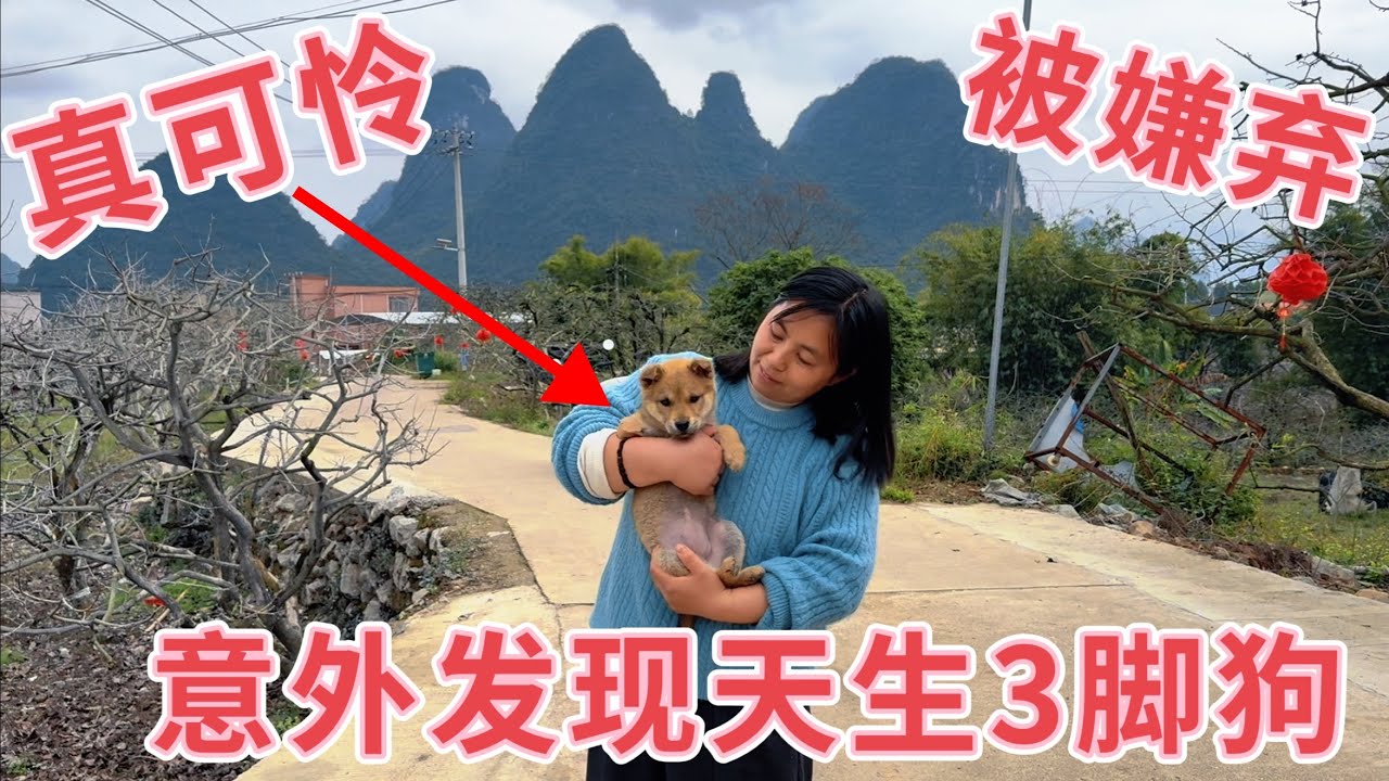 媳妇去山里吃酒席，意外发现一只天生3条腿的小狗，主人想卖却无人领养，看着真可怜