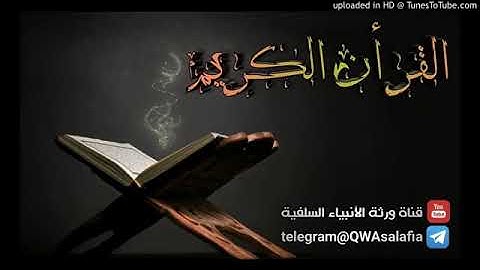 أَلَمْ تَرَ أَنَّ اللَّه يُسَبِّح لَهُ مَنْ فِي السَّمَاوَات وَالْأَرْض / القارئ مختار الحاج