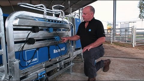 How To Setup & Operate a Racewell Sheep Handler
