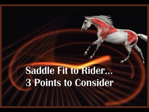 Saddle Fit to Rider by Jochen Schleese of Saddlefit 4 Life®
