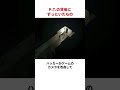 5年後にバレたP.T.の本当の恐怖