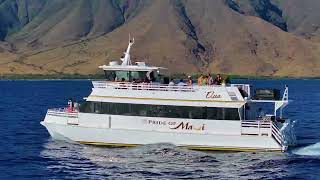 Pride Of Maui Elua Luxury Yacht Featured On Bravos The Valley