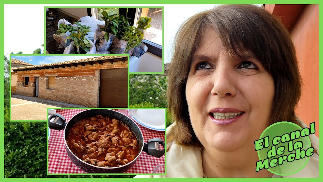 S21/2024: PLATO DE DUCHA Y PLANTONES