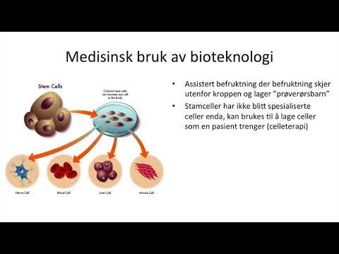 Video: Genetikere Planlegger å Lage Modifiserte Menneskelige Embryoer - Alternativt Syn