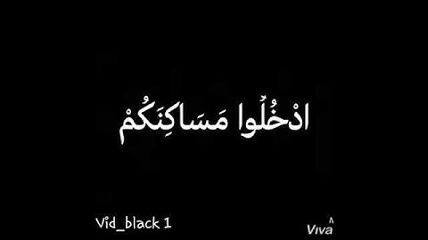 تلاوة رائعة | أحمد حمادي | من سوره النمل