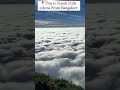 POV: You love nature a lot #naturelovers #nature #peace #live #life #peaceful #viralshorts #viral