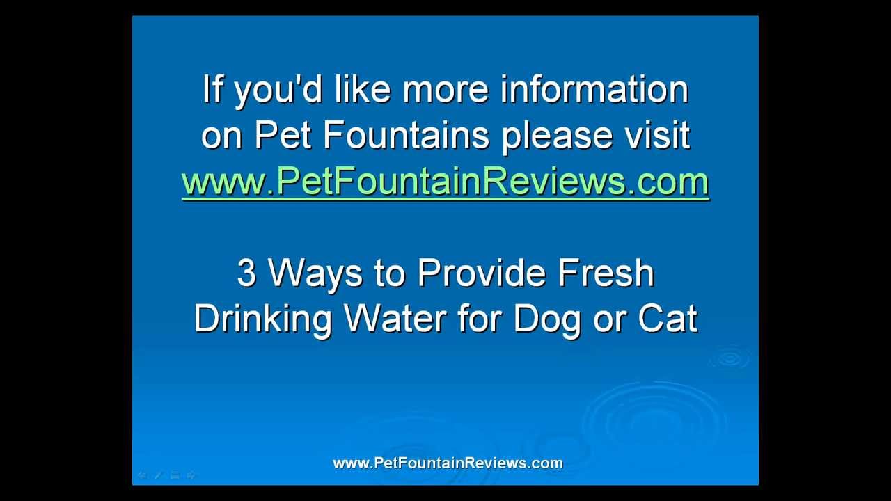 watershed 3 Ways to Provide Fresh Drinking Water