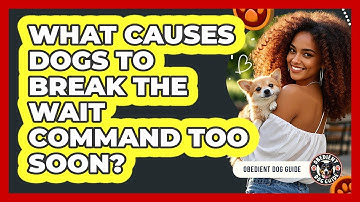 What Causes Dogs To Break The Wait Command Too Soon? - Obedient Dog Guide