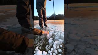 Whoa! 😳 Lighting methane bubbles while skating #wildice #iceskating #outdoorskating #methanebubbles