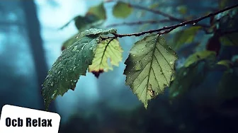 10 Hours of Relaxing Music & Soft Rain Sounds - Sleep Music, Piano Music (Brian)
