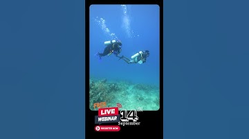 Dive Into Your Future: How to Build a Career in Scuba Diving