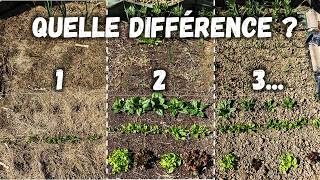 6 méthodes testées, laquelle fonctionne le mieux en ce printemps ? 🌼(dans mon contexte)