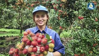 11 Amazing Benefits Of Rambutan Fruit for Health