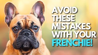 12 Things You Should Never Do to a French Bulldog!
