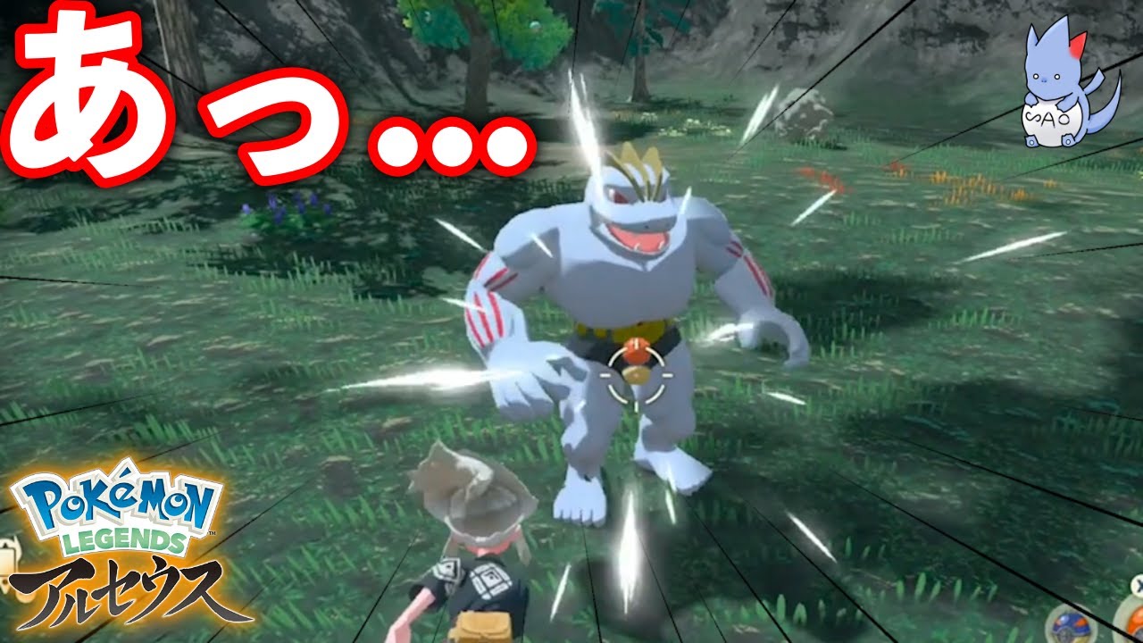 事故 間違ってゴーリキーの おタマタマ にボールを投げてしまった時の反応が面白い レジェンズアルセウス Youtube