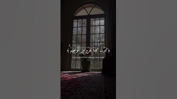 - سورة الكهف اكتب شيئ تؤجر عليه ♥️#يوم_الجمعه #سورة_الكهف #ماهر_المعيقلي #قران_كريم