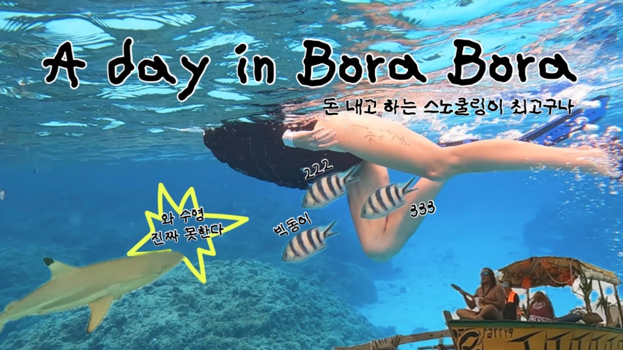 타히티 거주민의 보라보라 여행 6일차 | 얼어 죽어도 스노쿨링 한다