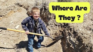 Secrets of the Blue Forest: Fossil Hunting and Big Fish (Our Unforgettable Adventure in Wyoming)