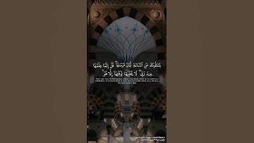 تلاوة تحبيرية بديعة  للشيخ محمد خليل قارئ رحمه الله من المسجد النبوي ♥️