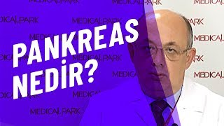 Pankreas Nedir Medical Park Tv