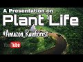 A Presentation on PLANT LIFE | 5 Amazing Facts about Plant | Part of a Plant | SM Entertain